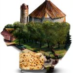 Scandinavian Cooking Guide by Arizona Marketing Association-0